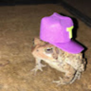 Meet your Posher, Asia